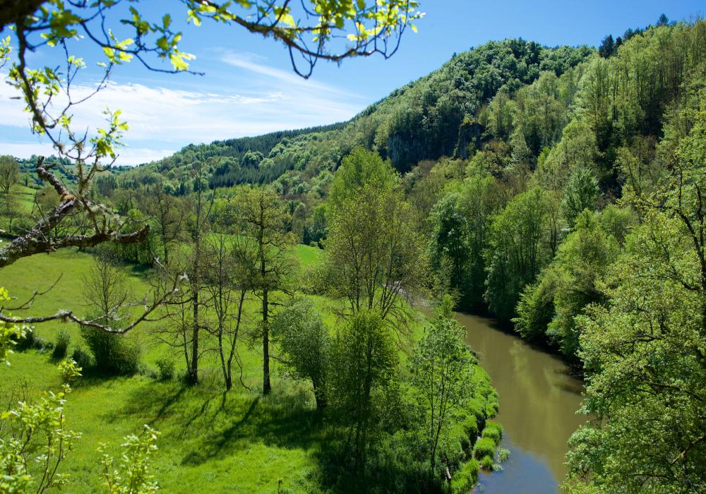 Bois_de_linars-credit-CDA