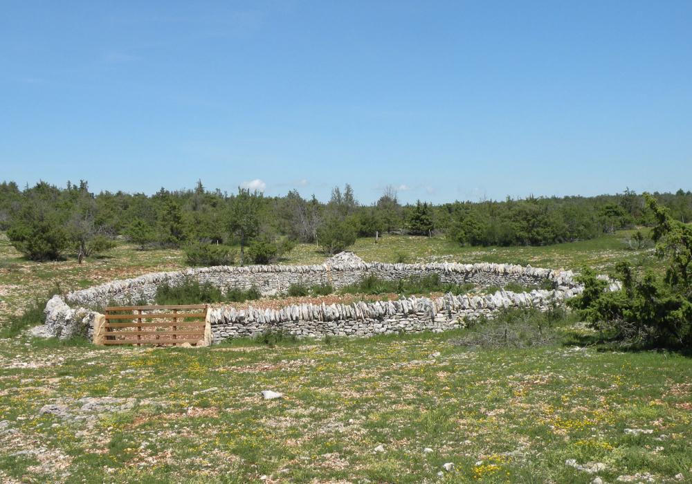 Réserve_de_chasse_du_Causse_Comtal-credit-CDA