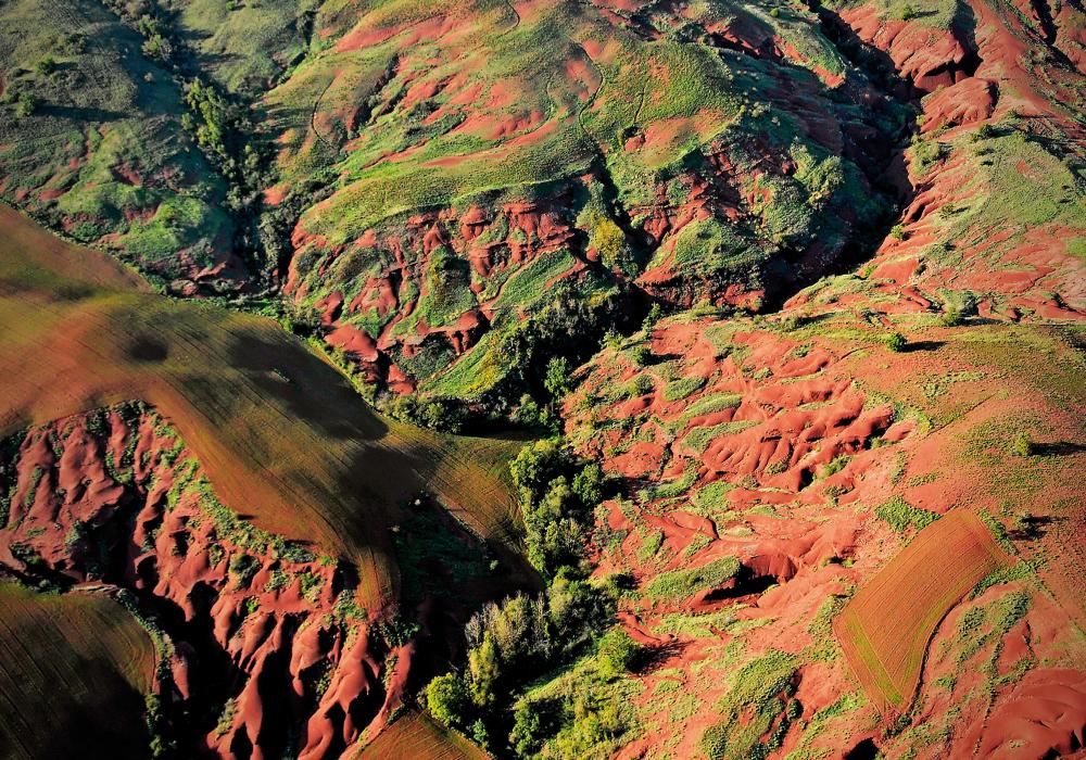 Rougier-vert-credit-E-Teissedre