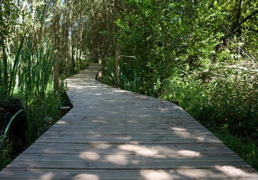 Zone_humide_de_Maymac-credit-CDA