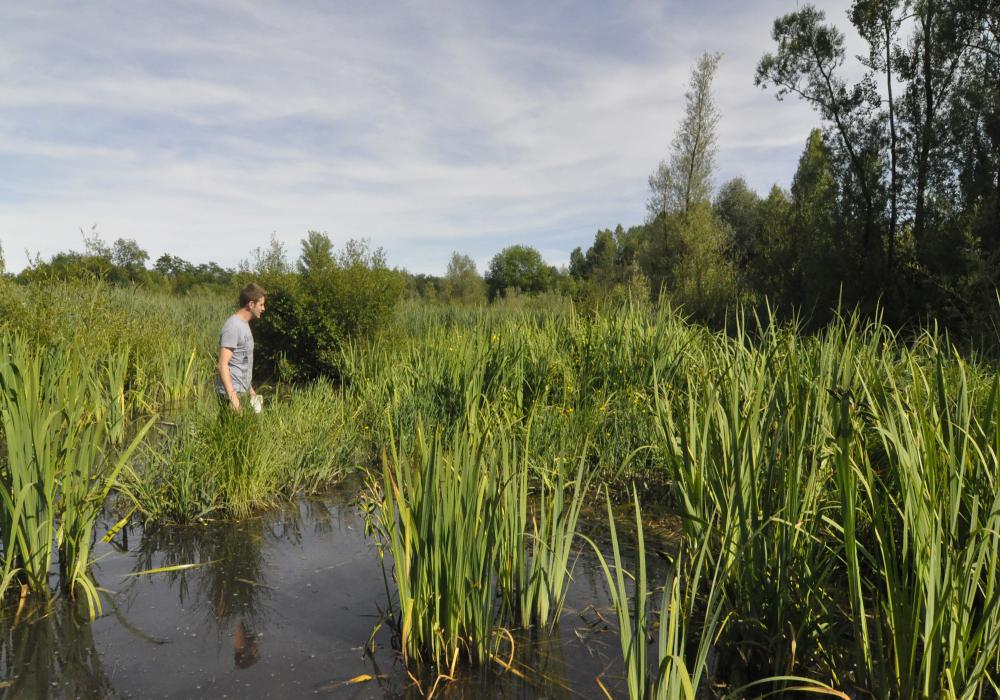 marais_montaris-credit_ncayssiols