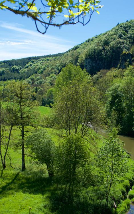 Bois_de_linars-credit-CDA