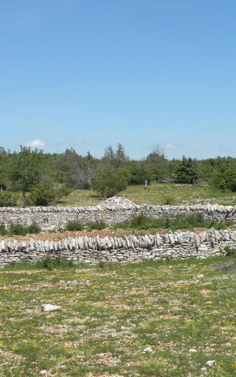 Réserve_de_chasse_du_Causse_Comtal-credit-CDA