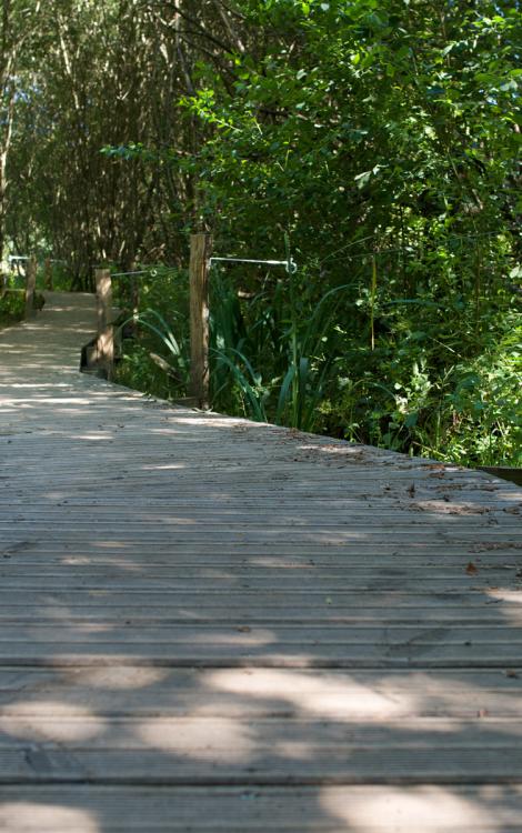 Zone_humide_de_Maymac-credit-CDA