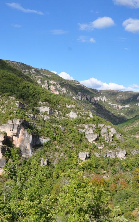 gorges_du_trévezel_credit-fdelmas