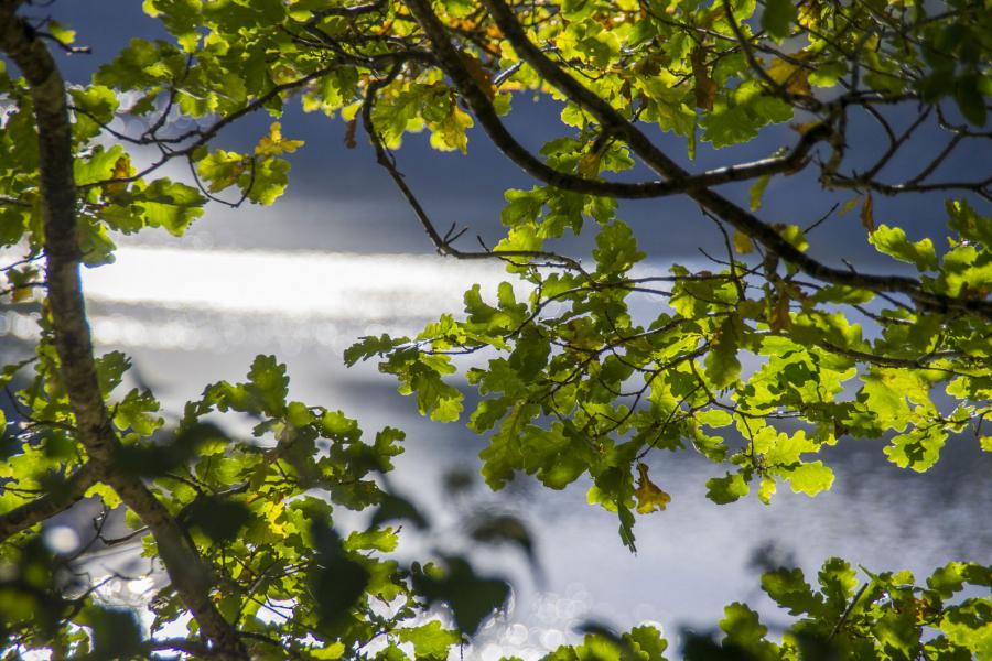 crédit-Johan-Barrot