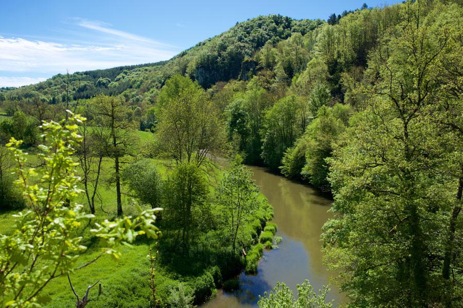 Bois_de_linar-credit-CDA