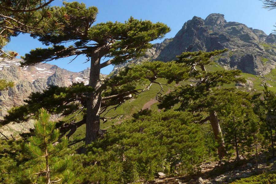 Credit-Cyril-Gautreau