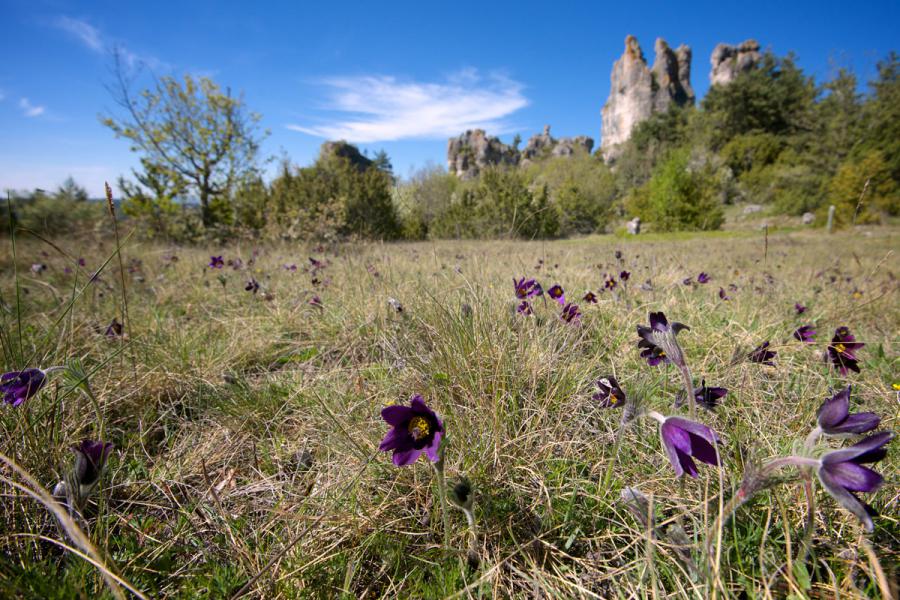 Crédit département de l'Aveyron