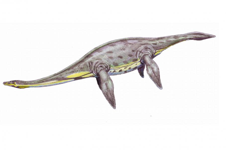 crédit Département Aveyron